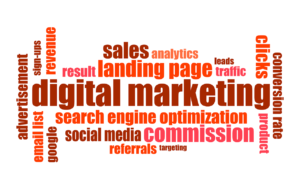 How can i earn from Digital Marketing and become pro