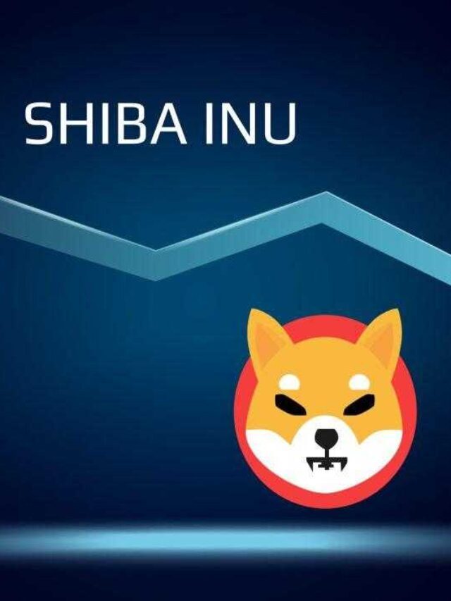 Did you missed Shib Inu earning train?